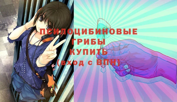 2c-b Лабытнанги