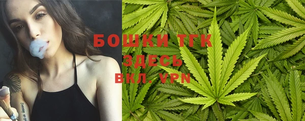 бутират Лагань